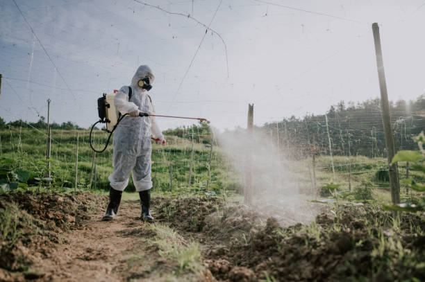 Best Pest Removal Services  in Horseheads North, NY