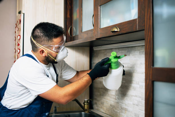 Reliable Horseheads North, NY Pest Control Solutions