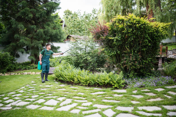 Best Local Pest Control Services  in Horseheads North, NY