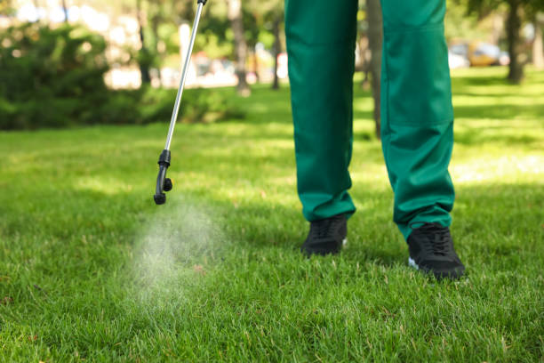 Best Flea Control Services  in Horseheads North, NY