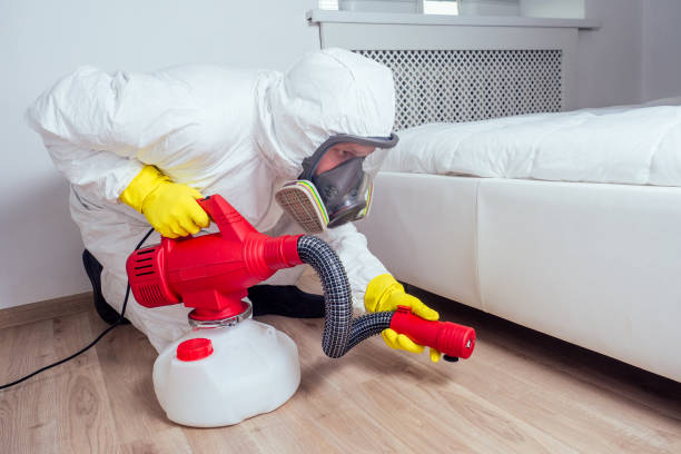 Best Exterminator Services  in Horseheads North, NY