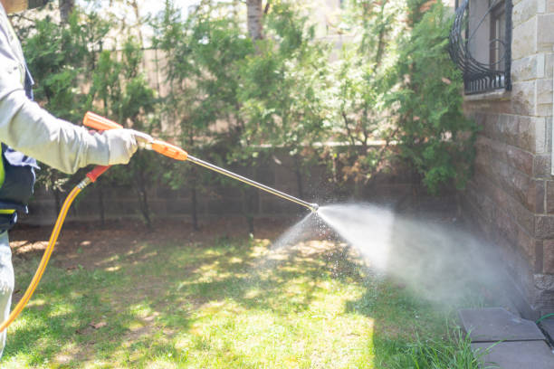 Spider Control Near Me in Horseheads North, NY