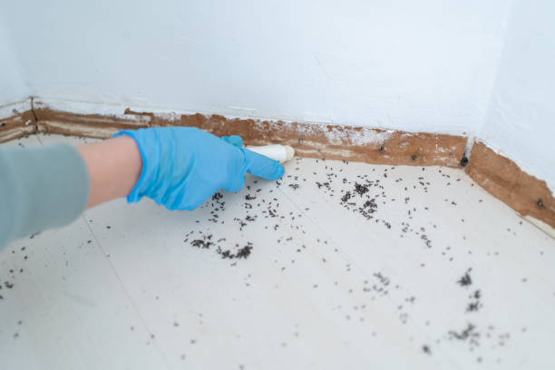 Best Best Pest Control Companies  in Horseheads North, NY